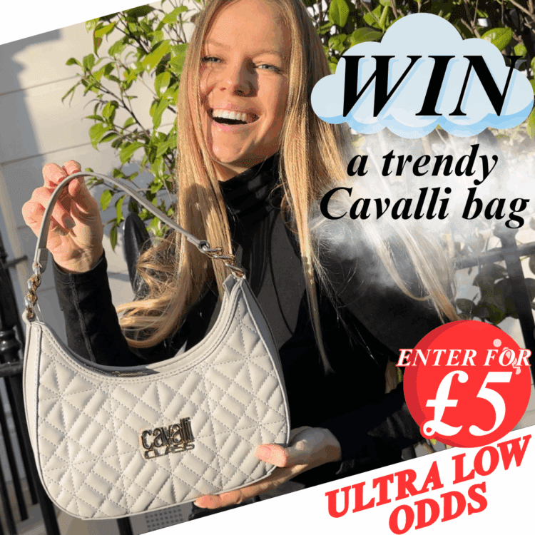 LIVEDRAW#28 WIN LUXURY ROBERTO CAVALLI CLASS GREY HANDBAG - ULTRA LOW ODDS